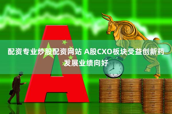 配资专业炒股配资网站 A股CXO板块受益创新药发展业绩向好