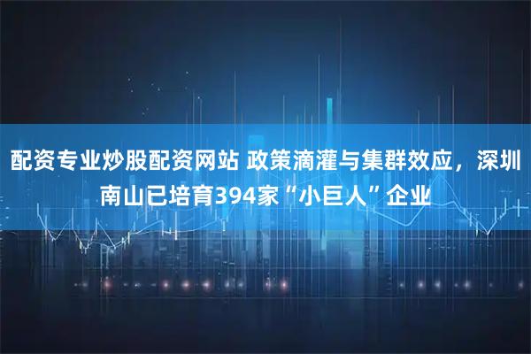 配资专业炒股配资网站 政策滴灌与集群效应，深圳南山已培育394家“小巨人”企业